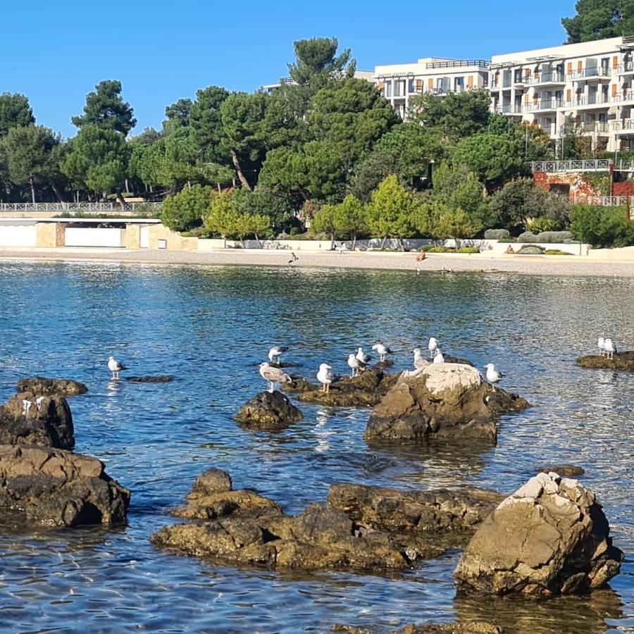 Vila Tena Rovinj Croatia Luaran gambar