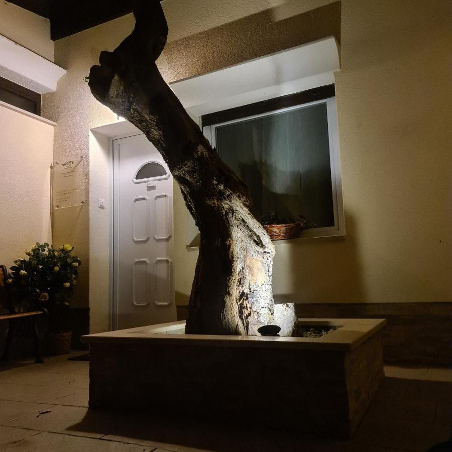 Vila Tena Rovinj Croatia Luaran gambar